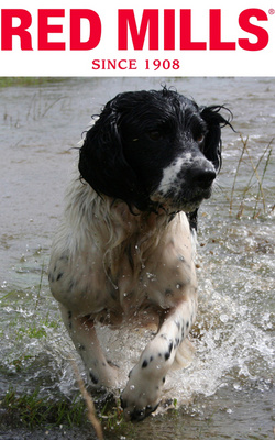 Competitive Edge Pet Food