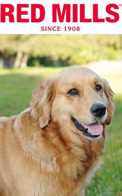 Star Pet Food